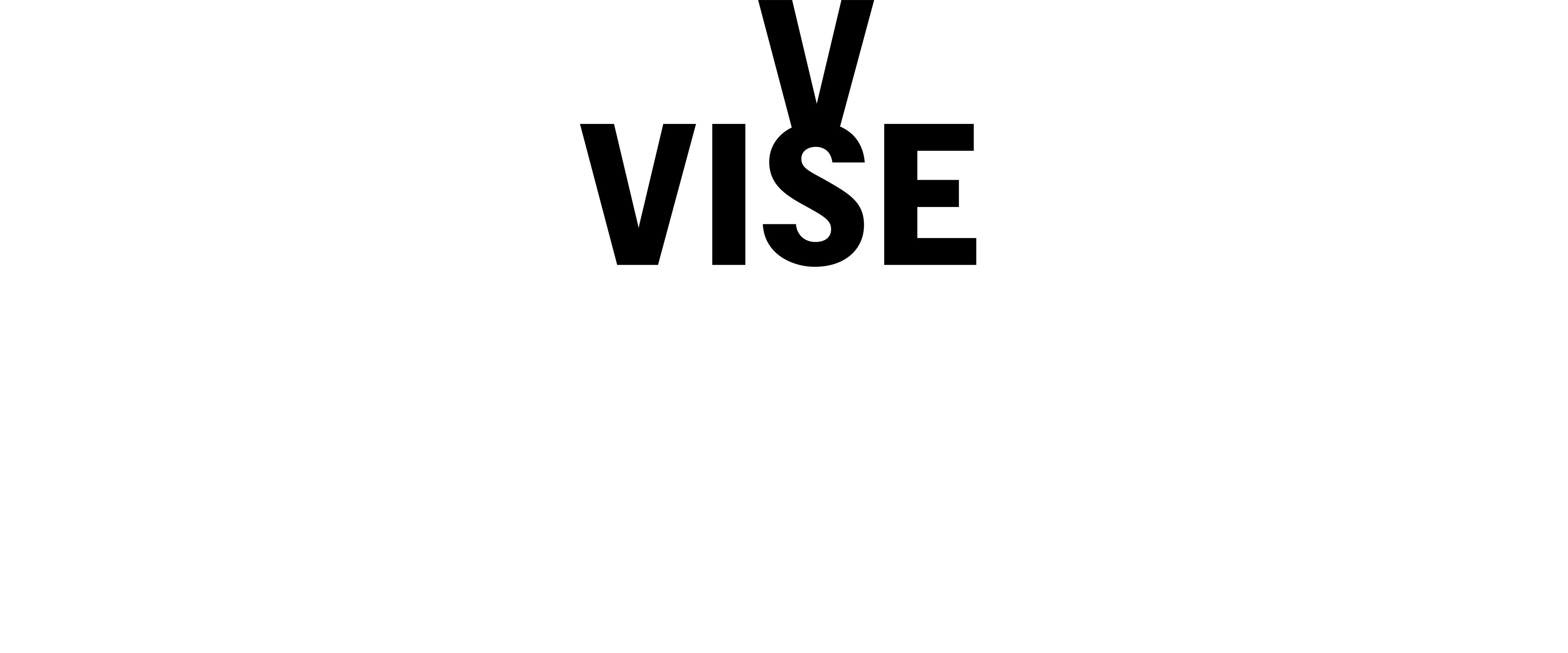 VISE logo animacija